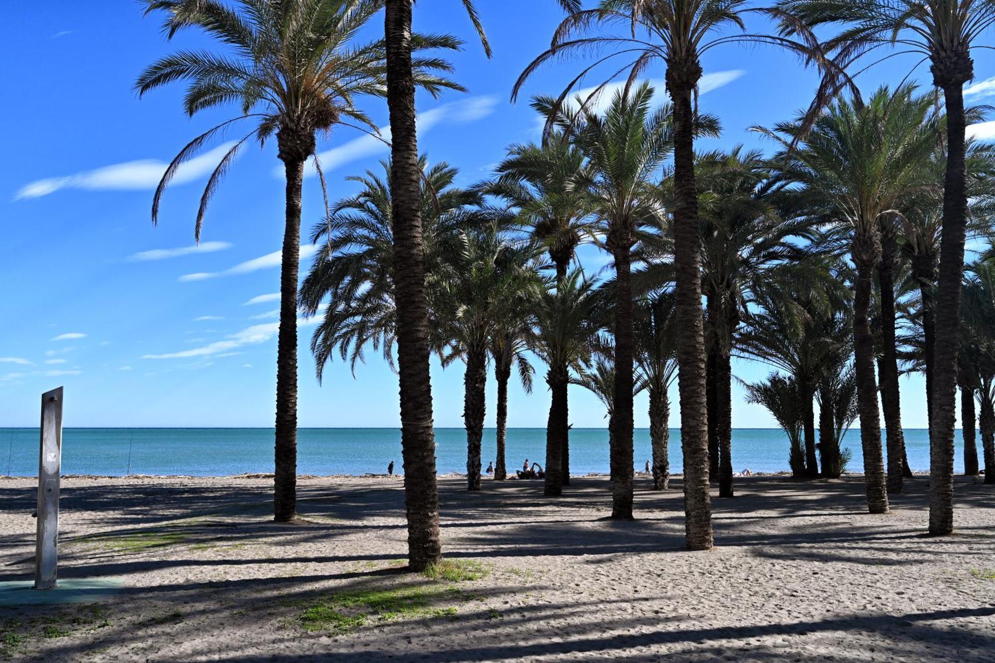 Love Rent4 Malaga Alamar 托雷莫利诺斯 外观 照片